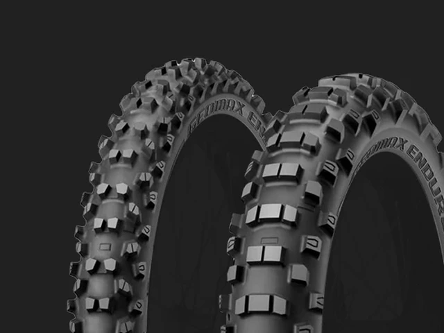 Pnevmatiki Dunlop Geomax EN91